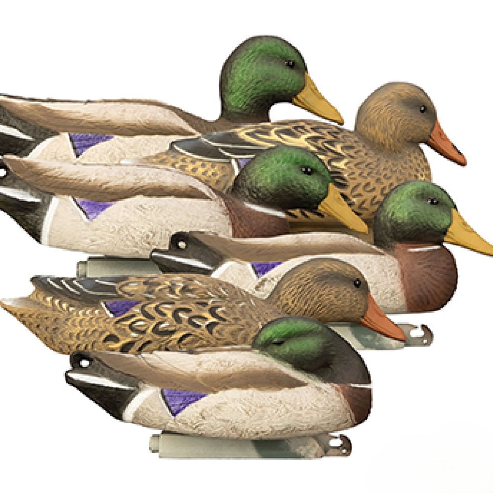Higdon Full-Size Foam-Filled Mallard Duck Decoys - 6 Pack